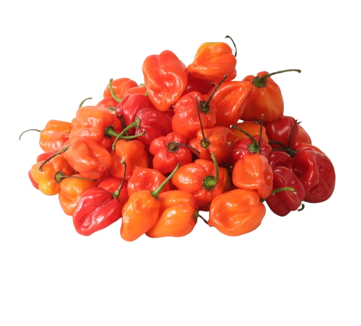 Red Rodo, Per kg