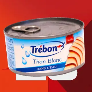 Offre Thon Blc Naturel 170G Trebon  - 100303232