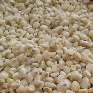 Muthokoi