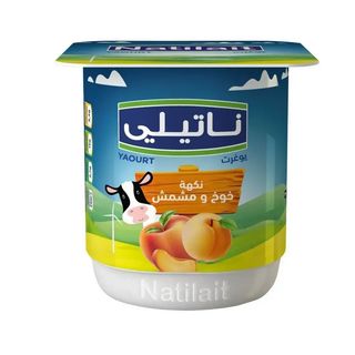 Yaourt Aromatisé Pêche -Abricot Natilait 110Gr