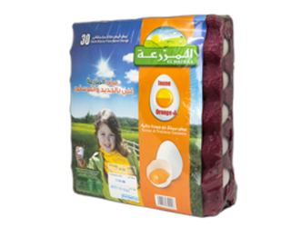 OEUF JAUNE ORANGE MAZRAA 30P