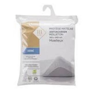 I002431 160Aleze Eponge Endui