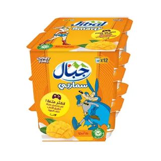 Pack yaourt Smarty mangue 12x60g - JIBAL