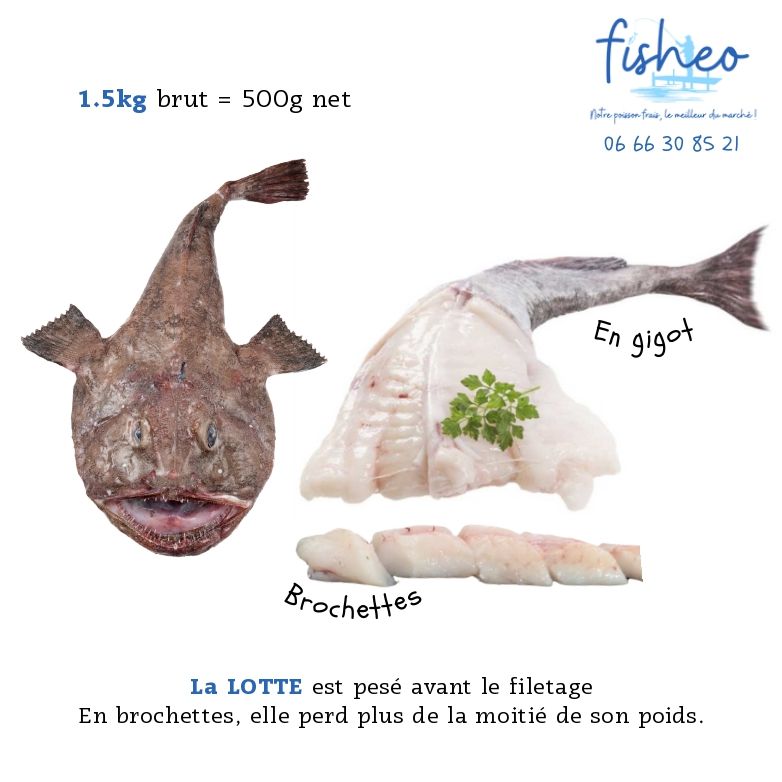 Fresh Monkfish (+1.5kg)