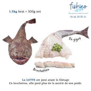 Lotte fraîche (+1,5kg)
