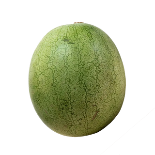 Water Melon - Regular