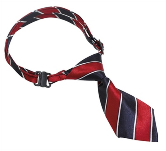 Collier Laisse et Harnais