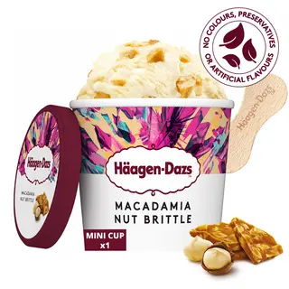 Glace Haagen Dazs Mini Pot  Noix De Macadamia  100ml