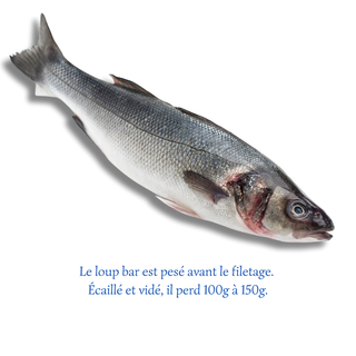 Loup Bar Entier (500g)