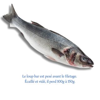 Loup Bar Entier (500g)