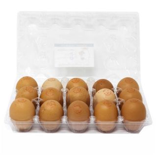 Tasty Yellow Yolk 15Pcs