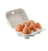 Mt. Zion Eggs Yellow York (6)