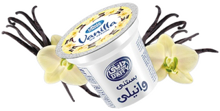 Daity Vanilla ice cream 60g