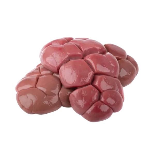 Beef Kidney 1Kg (Cow Kidney 1 Kilo)
