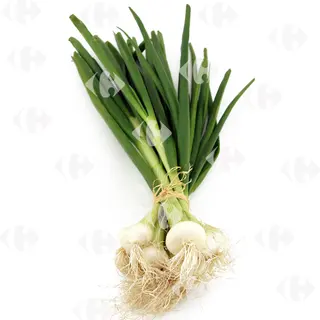 Oignon Frais Blanc 500g