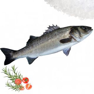 Petit Bar (Sosso) 1kg