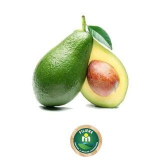 Avocat 1kg - FILIERE M