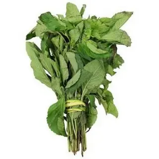 Scent Leaf Per bunch