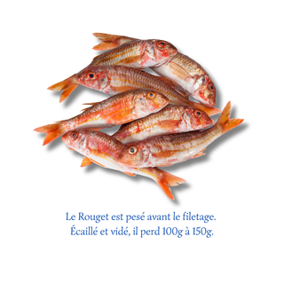Rouget Entier (500g)
