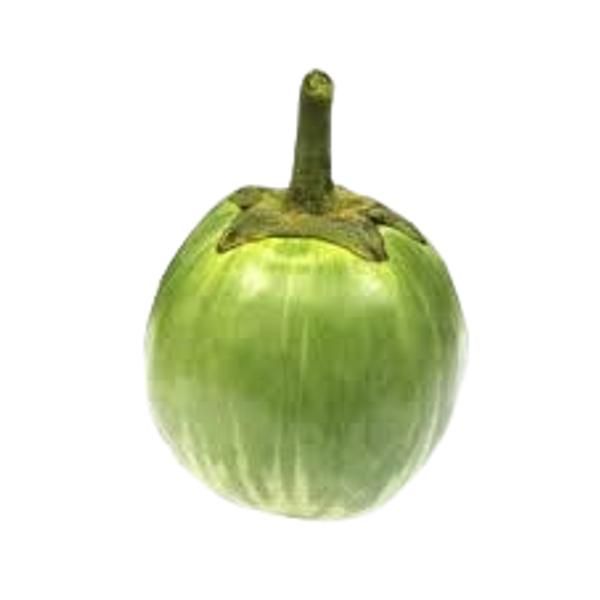 Green Garden Egg, Loose, Per kg