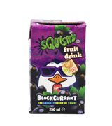 Squishy Blackcurrant Drink 250Ml