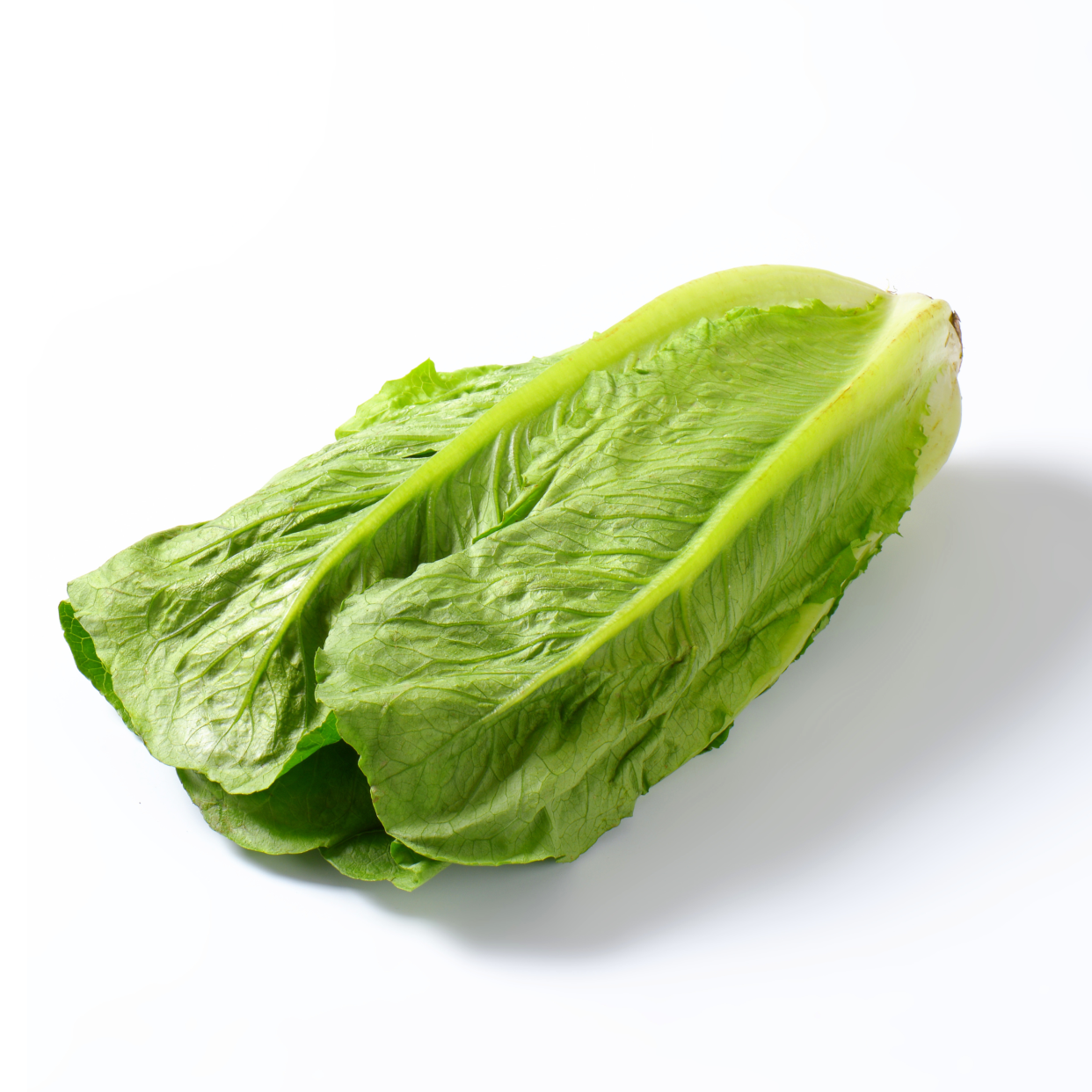 La salade romaine - savoureuses