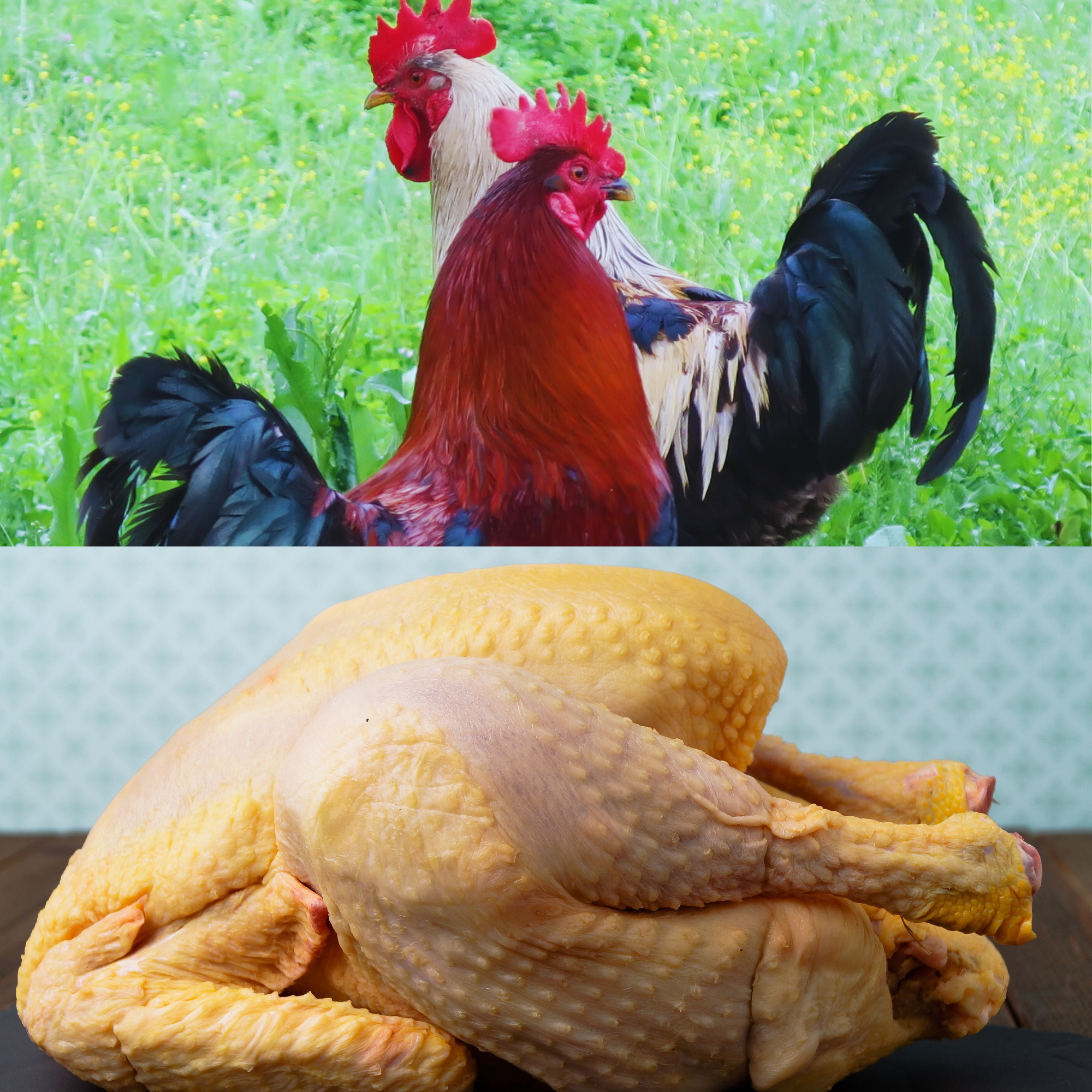 Poulet Fermier - 1kg (Goût Authentique)