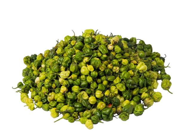 Prepping Green Ata Rodo (1 Bag (10Kg))