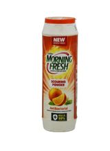 Morning Fresh Scouring Powder Antibacterial 500G