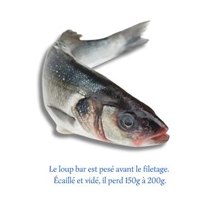 Loup Bar Entier (700g)