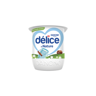 Yaourt nature DELICE DANONE 110GR  - 317
