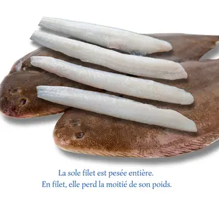 Sole Filet sans peaux (500g)