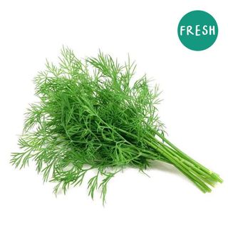 Dill leaves bunch