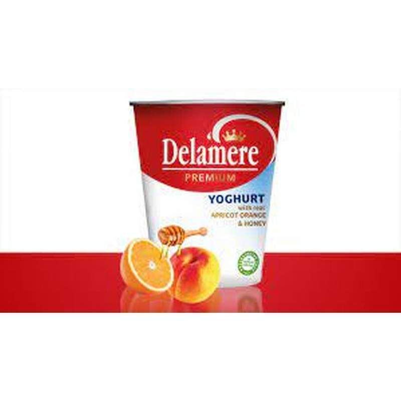 Delamere Orange/Honey Yoghurt 250Ml C