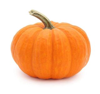 Orange Pumpkin, Single Piece