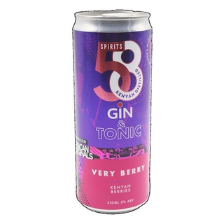 58 KO BERRY GIN&TONIC RTD 330ML