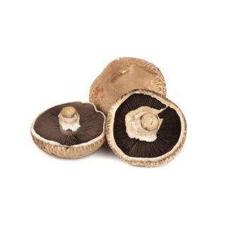 Champignon Portobelllo Barquette 300g