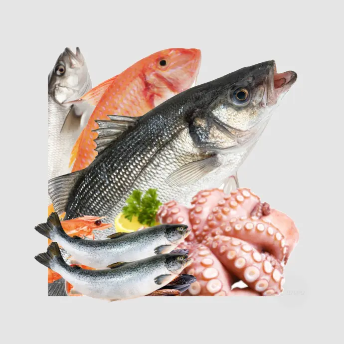 Poissonnerie et Fruits de Mer