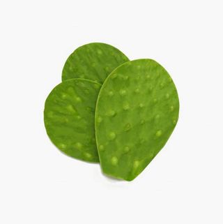 Green Cactus Plant, 1 piece