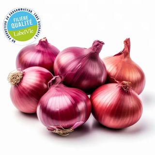 Oignon Rouge 6 Pièces - Filière Qualité