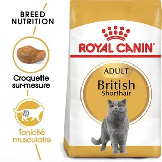 Royal canin British Shorthair Adulte 2kg -952295-