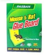 Mouse & Rat
Glue Book Small