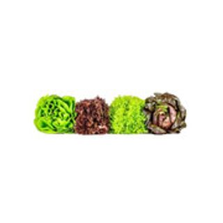 Set de 4 salades