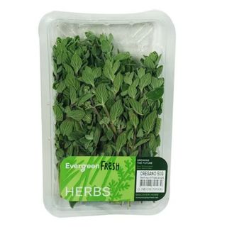 Evergreen Oregano 50g