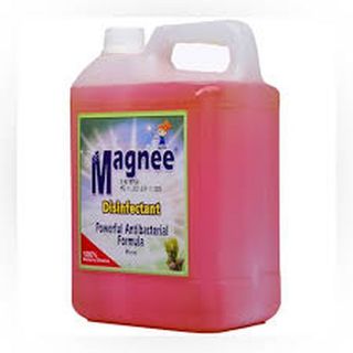 Magnee Pine Disinfectant 5Ltr