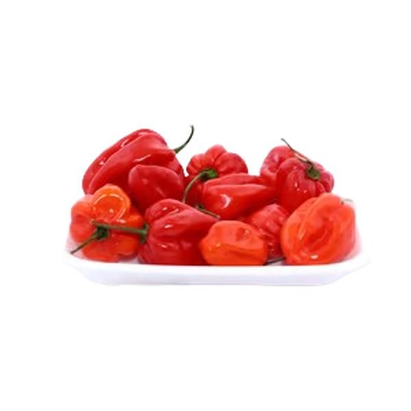 Habanero Rodo 1Kg (Rodo 2 Portions)