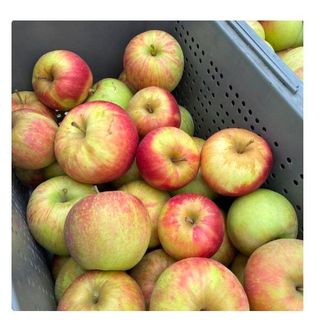 Pomme Rouge 1Kg