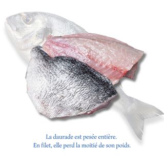 Filets de Daurade (700g)