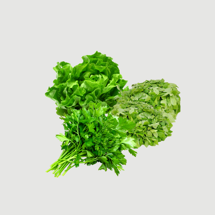 Salade, Plantes Et Feuilles Fraiches!!