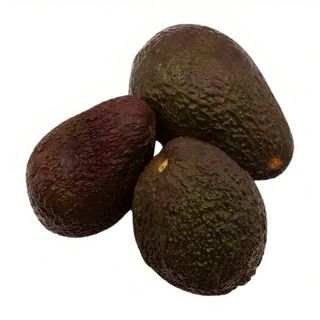 Avocat Import Hass Carton